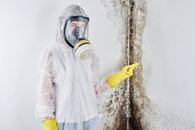 Best Attic Mold Removal in National Park, NJ